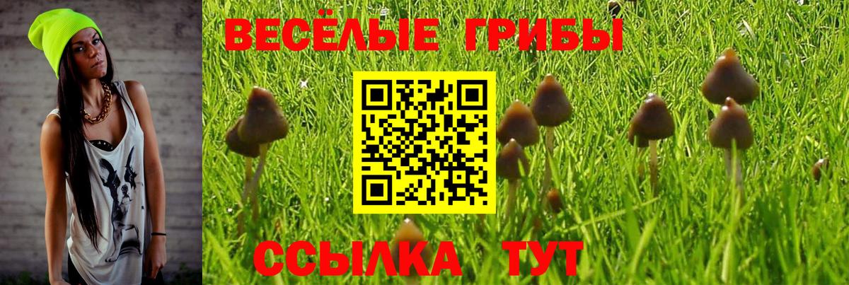 Псилоцибиновые грибы мухоморы  Вход с VPN  Коряжма 