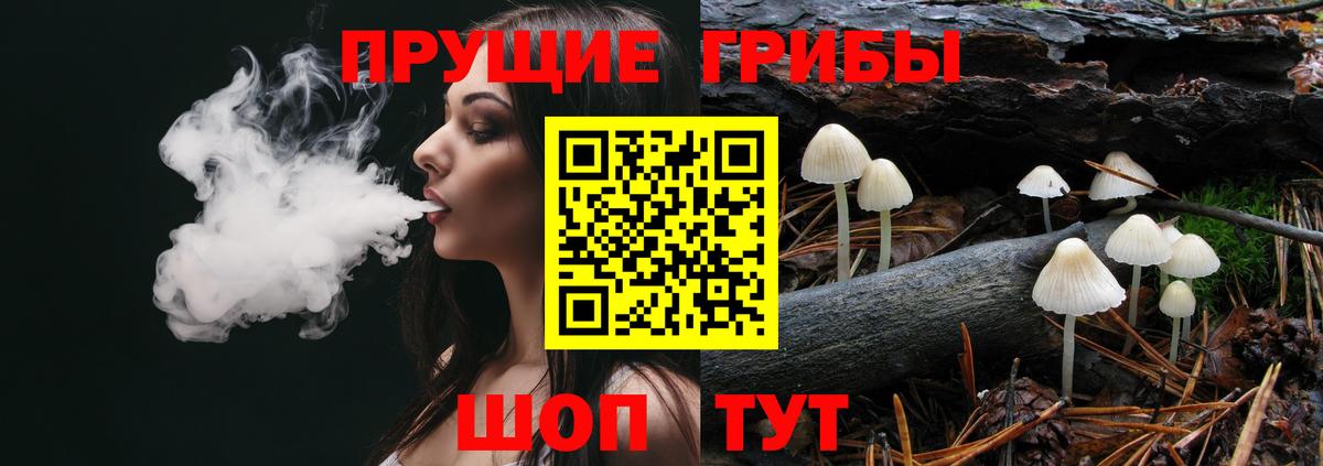Псилоцибиновые грибы MAGIC MUSHROOMS Коряжма